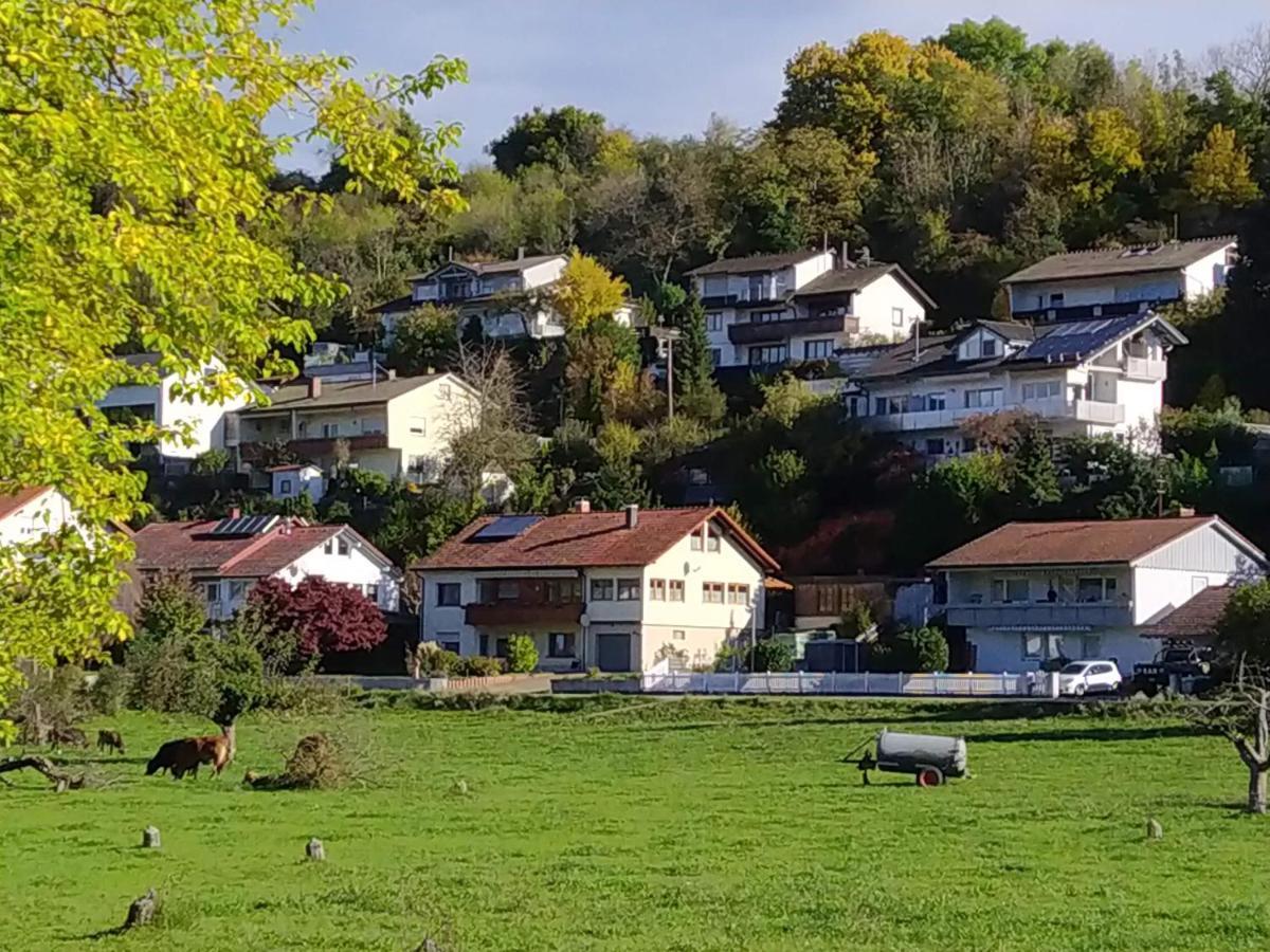 Апартаменты Blick Ins Wutachtal Wutoschingen Экстерьер фото