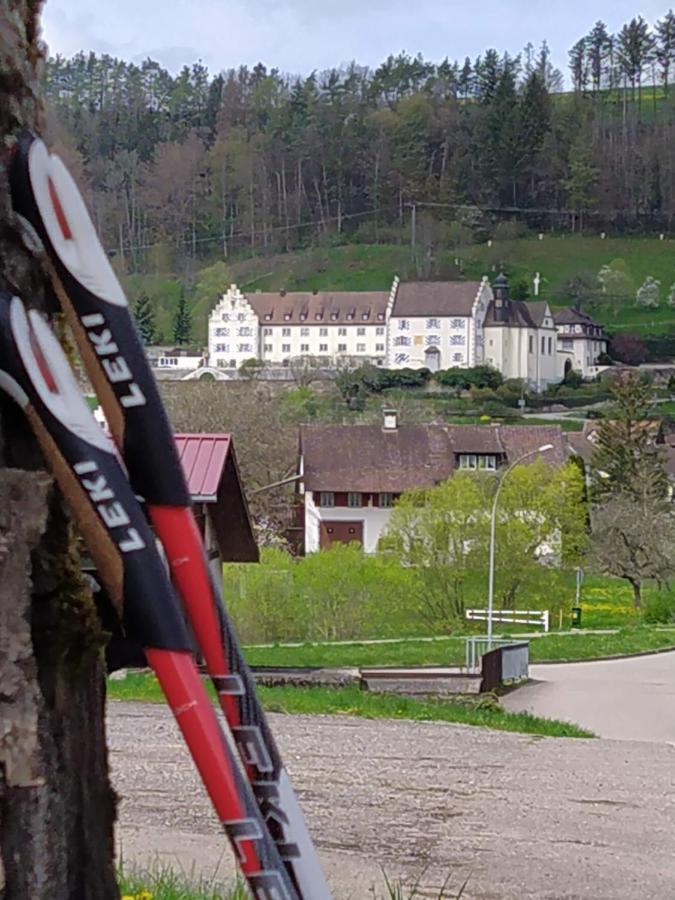 Апартаменты Blick Ins Wutachtal Wutoschingen Экстерьер фото